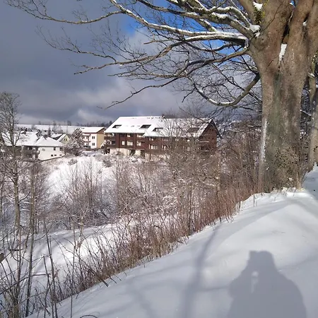 Appartement Am Glockenberg Harz *
