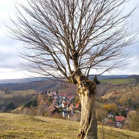 Am Glockenberg Harz Appartement